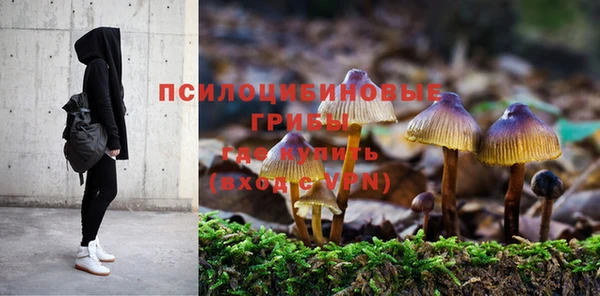 хмурый Алексин