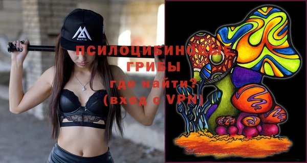 хмурый Алексин