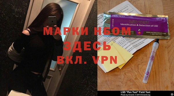 хмурый Алексин