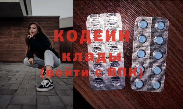 хмурый Алексин