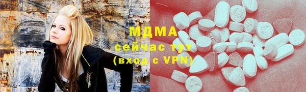 хмурый Алексин
